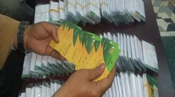 فتح باب إضافة المواليد على بطاقات التموين 2025 يبدأ الجمعة للأسر الأولى بالرعاية